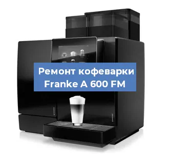 Ремонт капучинатора на кофемашине Franke A 600 FM в Краснодаре